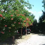 Grgorinic Apartment