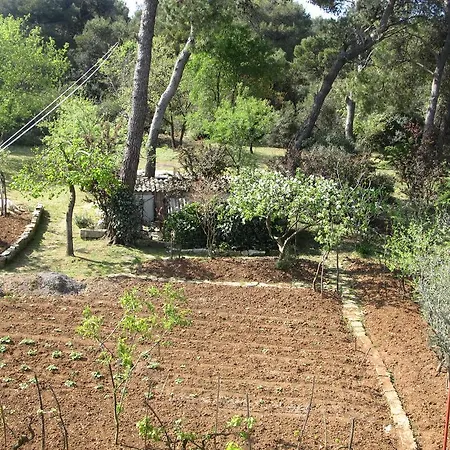 アパート Grgorinic