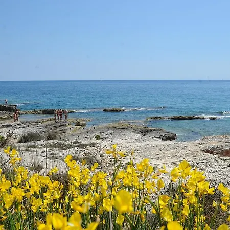 Grgorinic アパート *