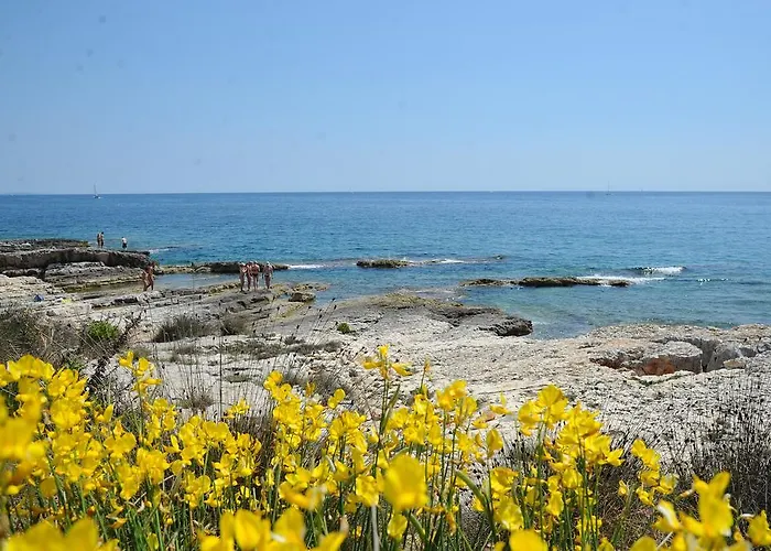 Grgorinic Apartman *