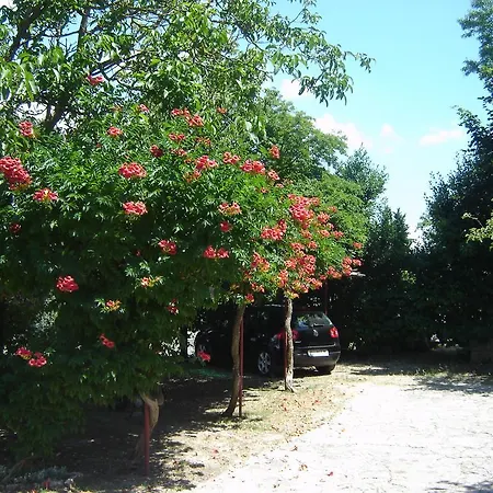 Grgorinic Апартаменты