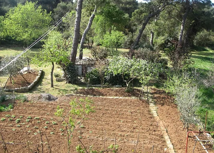 Appartamento Grgorinic